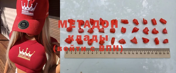 прущие грибы Инта