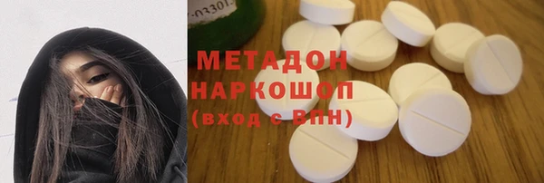 прущие грибы Инта