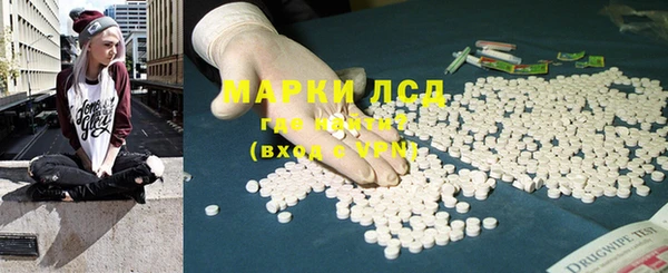 прущие грибы Инта