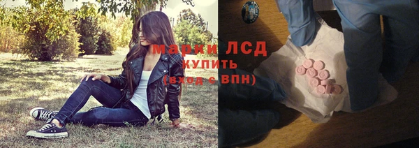 прущие грибы Инта