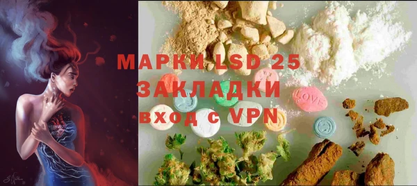 прущие грибы Инта