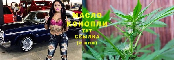 прущие грибы Инта
