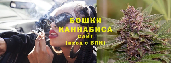 прущие грибы Инта