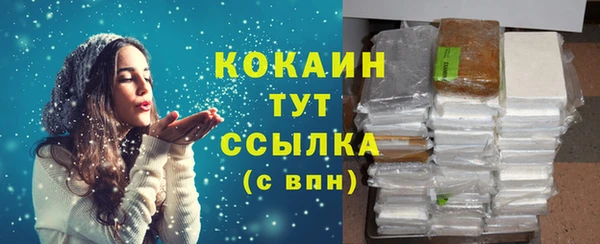 прущие грибы Инта