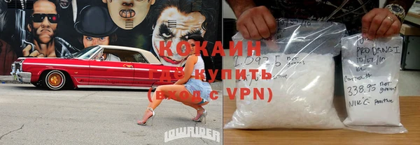 прущие грибы Инта