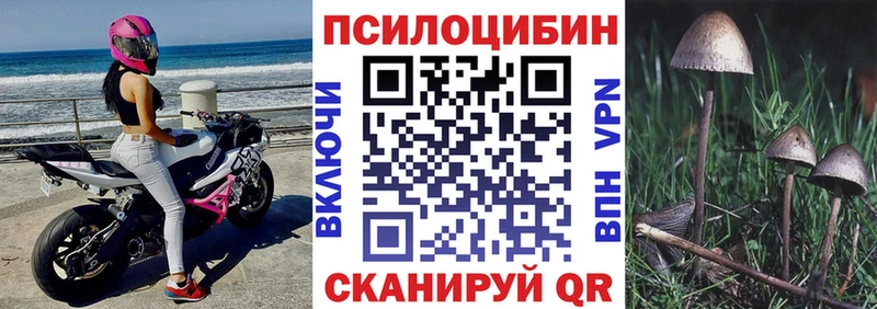 Псилоцибиновые грибы мухоморы  Купить закладки  Гудермес 